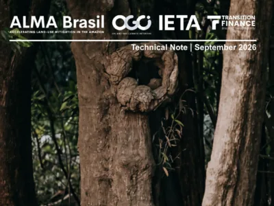 ALMA Brasil Technical Note: Harmonising REDD+ Accounting Across Scales