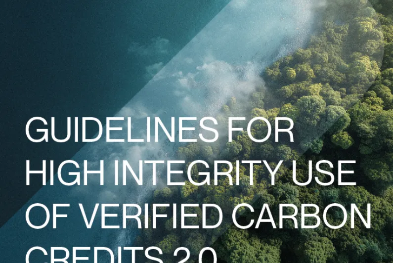 IETA Releases Updated VCM Guidelines 2.0