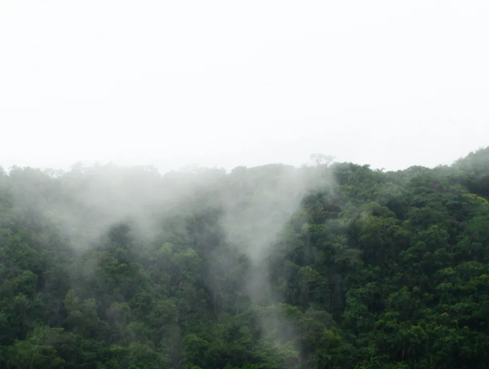 IETA Brazil initiative
