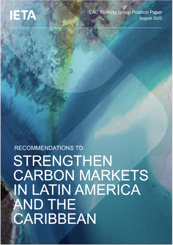 New IETA Position Paper: Recommendations to Strengthen Carbon Markets in Latin America and the Caribbean