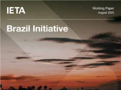 Carbon Market Frameworks for Brazil