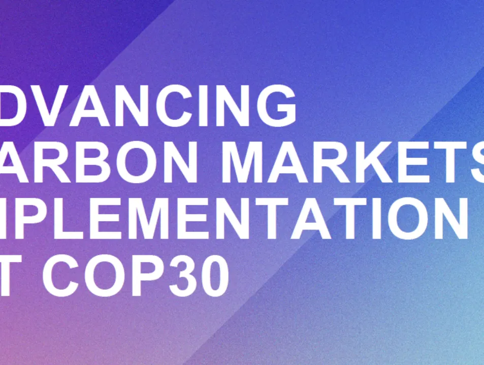 IETA publishes COP30 Policy Paper, Advancing Carbon Markets Implementation at COP30