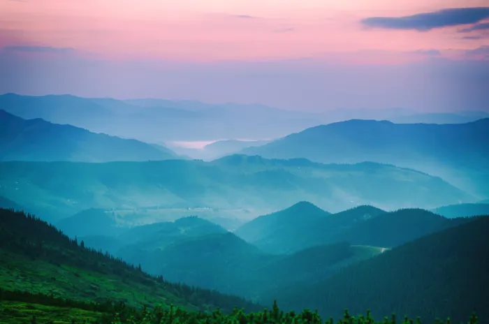 Business Brief - Washington State Cap-and-Invest