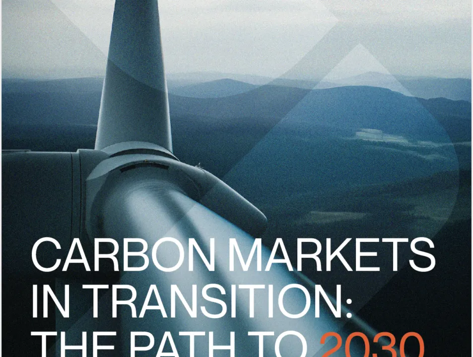 Cautious Optimism Defines Global Carbon Market Outlook in 2025, IETA and PwC Release  Latest GHG Market Sentiment Survey