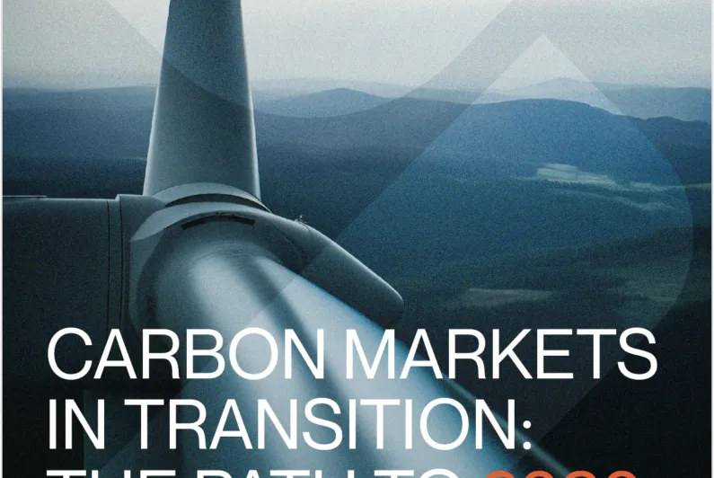 Cautious Optimism Defines Global Carbon Market Outlook in 2025, IETA and PwC Release  Latest GHG Market Sentiment Survey