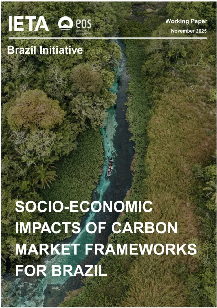Socio-Economic Impacts of Carbon Market Frameworks for Brazil