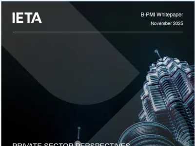 Towards an Effective Carbon Price in Malaysia: Launch of IETA Whitepaper  