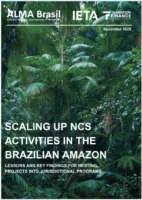 Strengthening Trust and Collaboration for High-Integrity Climate Action in the Amazon