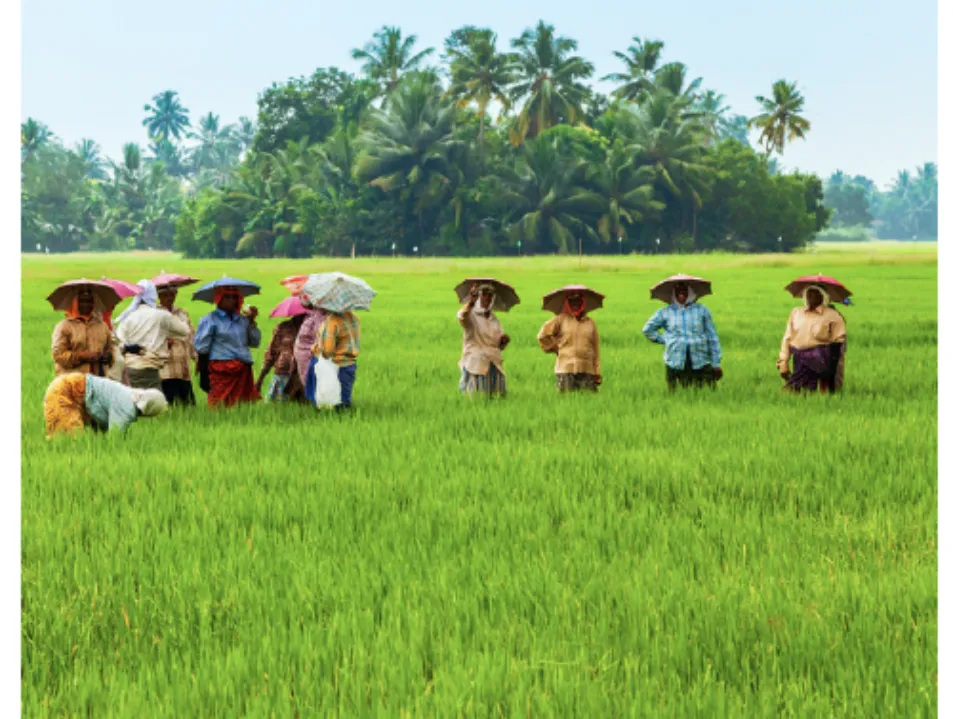 IETA Releases Recommendations on Strengthening India’s Article 6 Framework