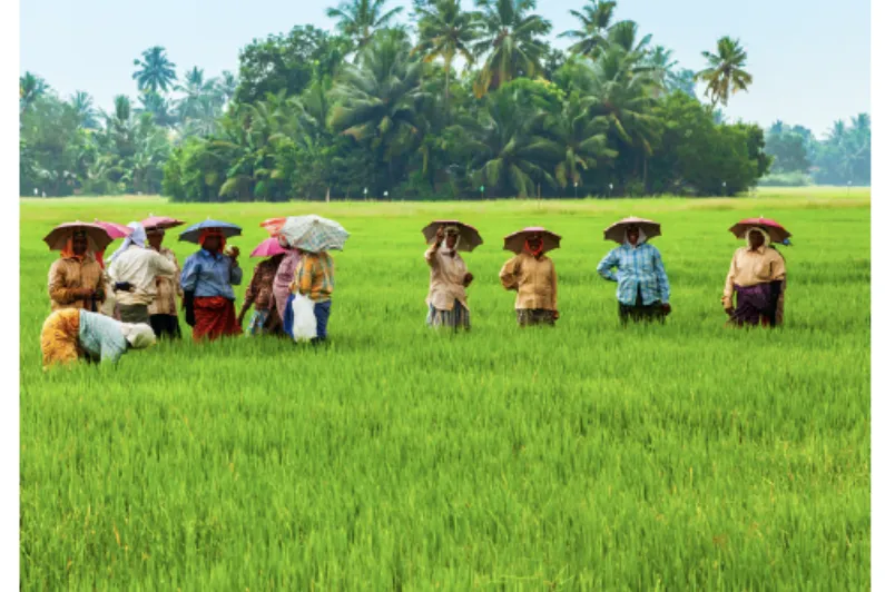 IETA Releases Recommendations on Strengthening India’s Article 6 Framework