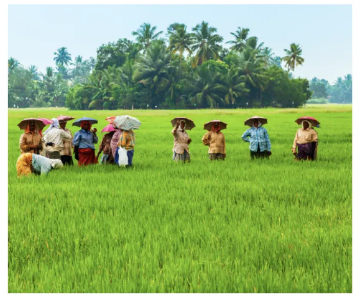 IETA Releases Recommendations on Strengthening India’s Article 6 Framework