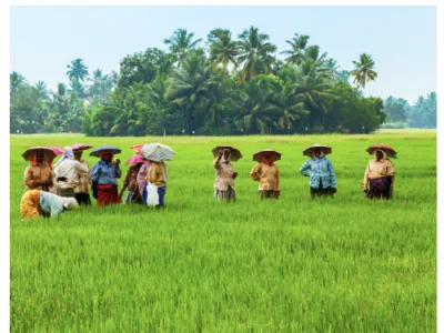 IETA Releases Recommendations on Strengthening India’s Article 6 Framework