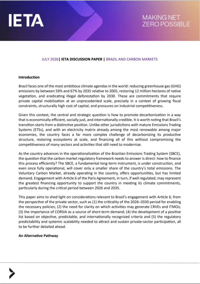 Discussion Paper: Brazil and Article 6 of the Paris Agreement
