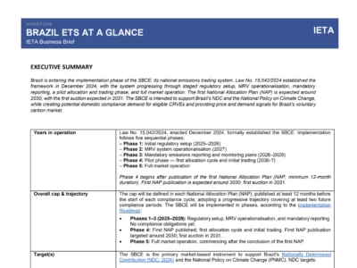 Updated Business Brief Brazil ETS at a Glance