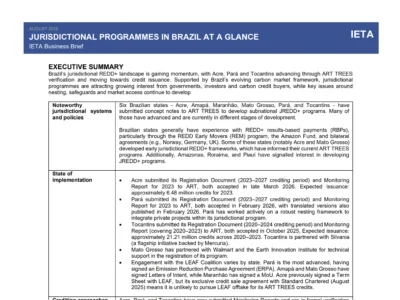 Updated Business Brief Jurisdictional Programmes in Brazil