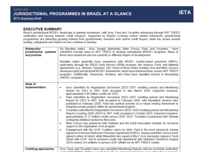 Updated Business Brief Jurisdictional Programmes in Brazil
