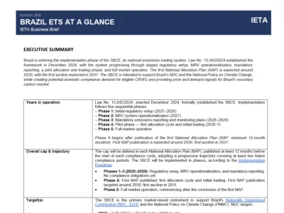 Updated Business Brief Brazil ETS at a Glance