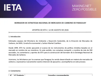 IETA Response to Paraguay's draft National Strategy on Carbon Markets