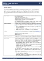 Updated Business Brief Brazil ETS at a Glance