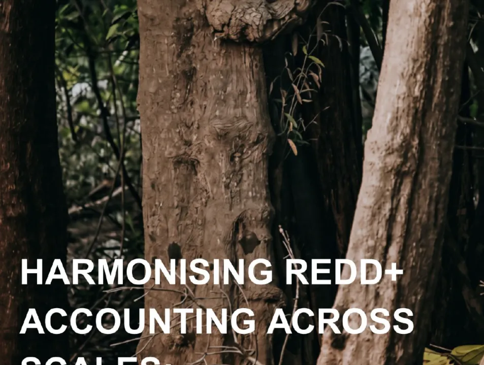 New report launch: Harmonising REDD+ Accounting Across Scales