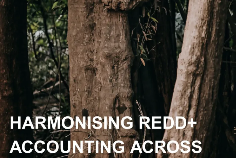 New report launch: Harmonising REDD+ Accounting Across Scales