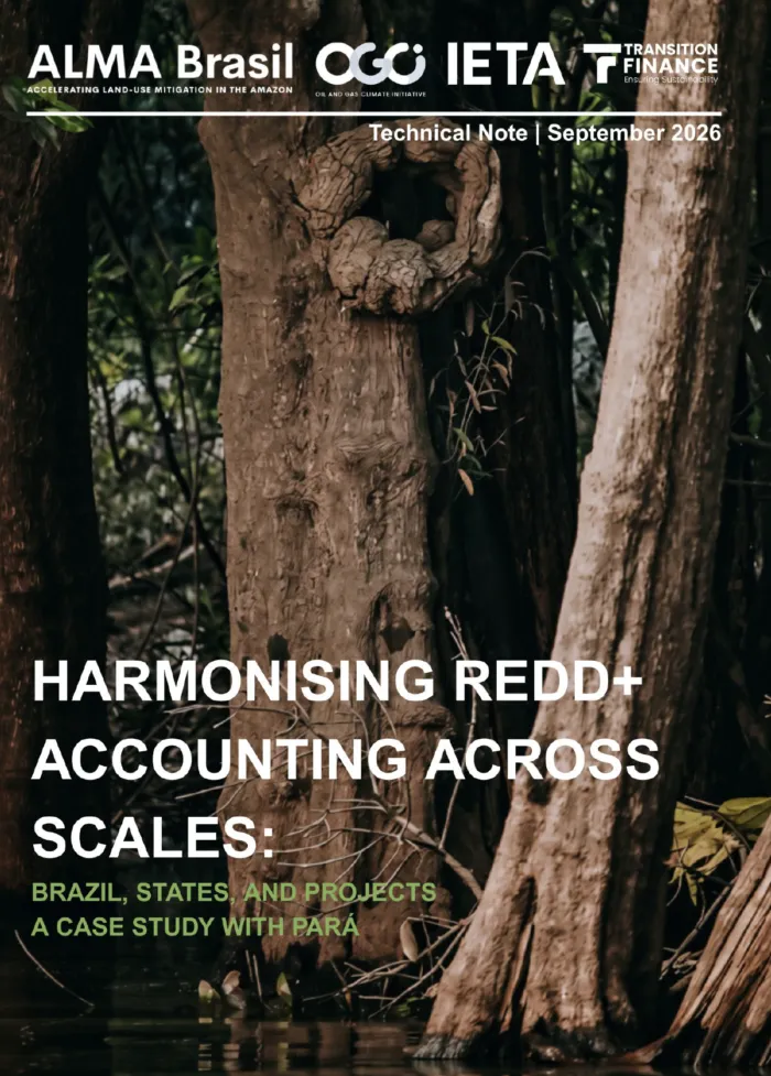 ALMA Brasil Technical Note: Harmonising REDD+ Accounting Across Scales