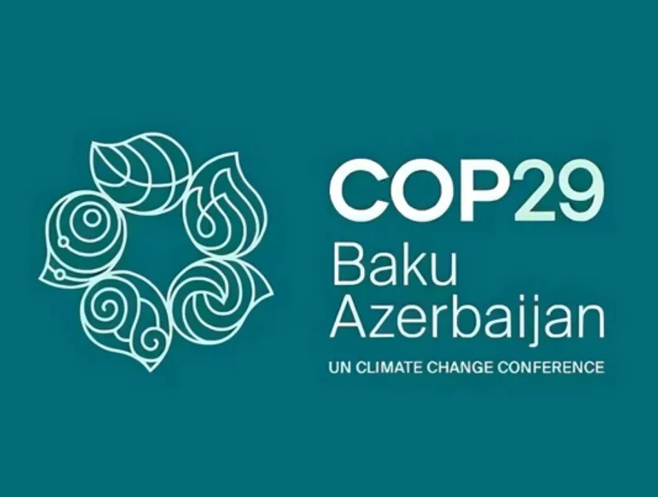 IETA statement on the decision to adopt Article 6.4 Supervisory Body report at COP29