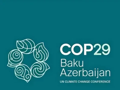 COP29 update: Day 11, 22 November