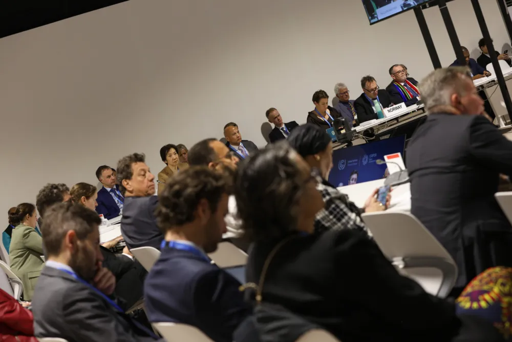 Ministerial pairs were assigned to conduct consultations on all outstanding agenda items. (Photo: UN Climate Change – Kiara Worth)