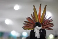 IETA COP30 Daily Report – November 12, 2025