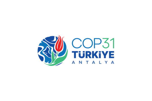 COP31 Preview Webinar