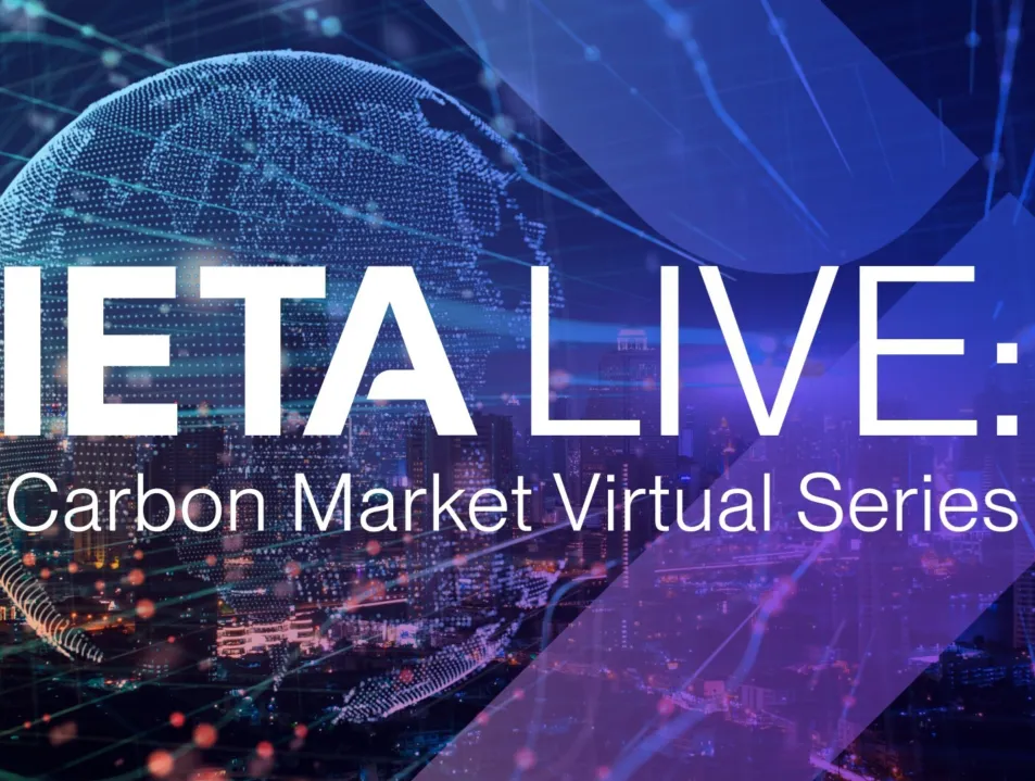 IETA LIVE Carbon Markets - Inside the UNIDROIT Principles on Verified Carbon Credits