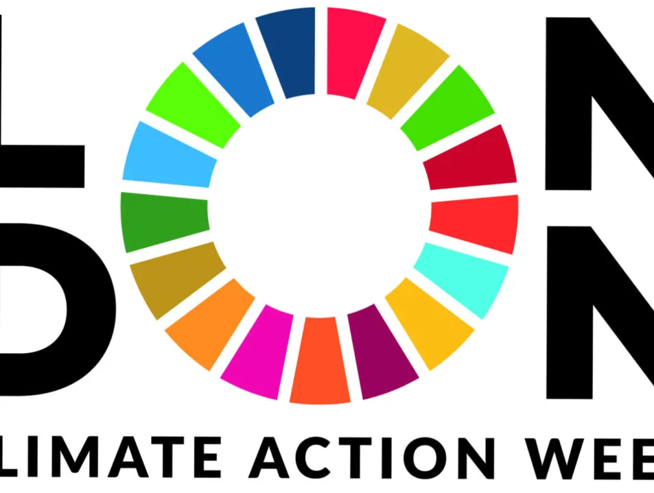 IETA London Carbon Market Dialogue