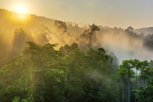 LATIN AMERICA CLIMATE SUMMIT – LACS 2024