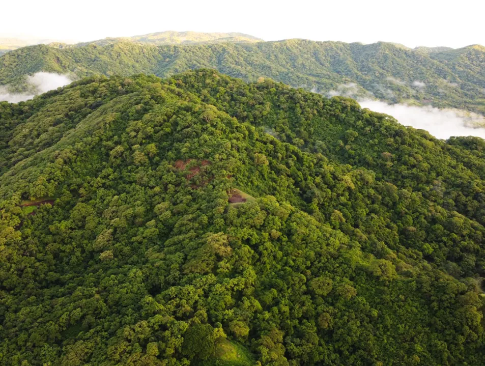 IETA STATEMENT ON THE CONCLUSION OF COP29 INCLUDING SUMMARY REPORT