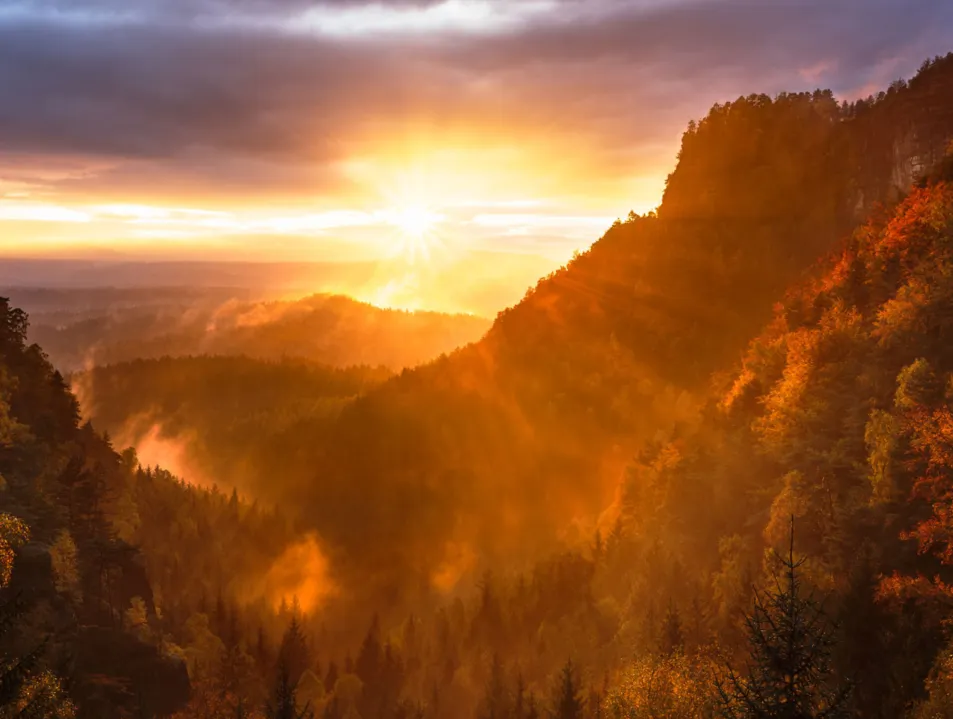 European Parliament approves Carbon Removal Certification framework
