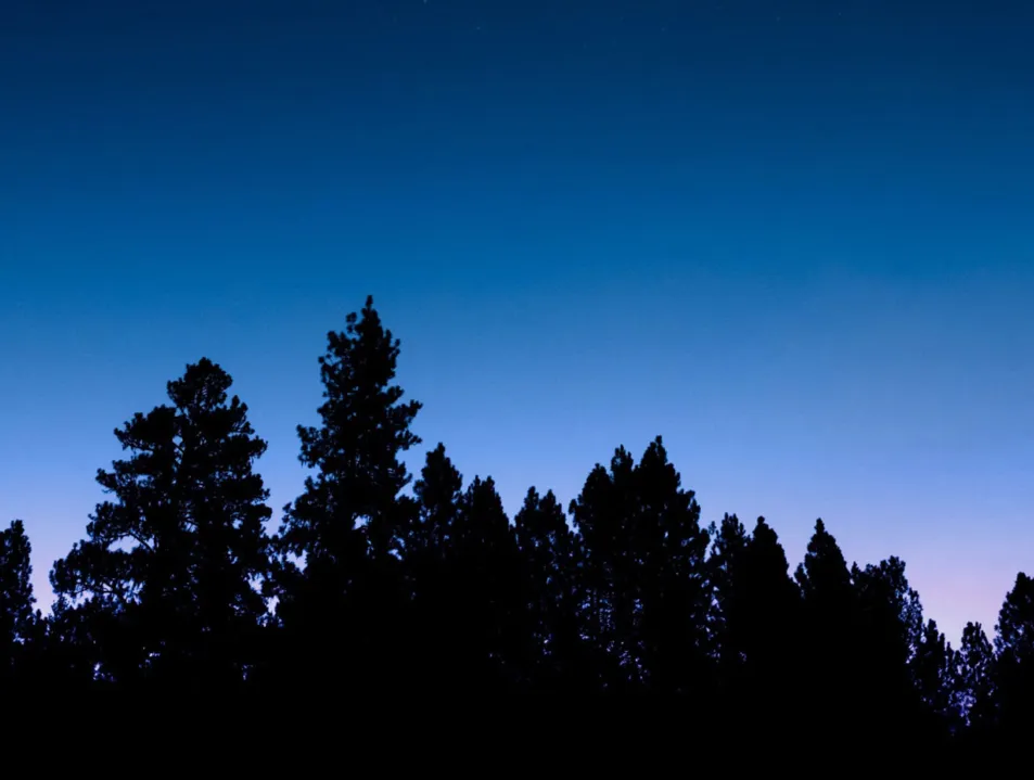 IETA and ITN Productions launch new co-production ‘Blue Sky Thinking: The Race to Achieve Net Zero’