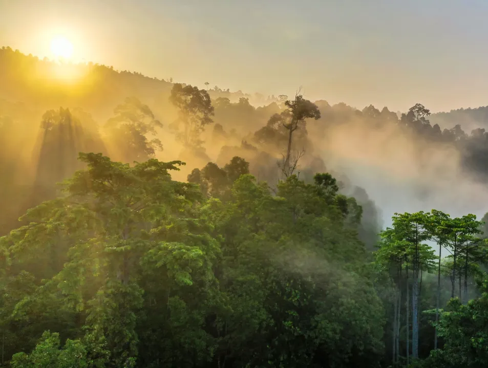 LATIN AMERICA CLIMATE SUMMIT – LACS 2024