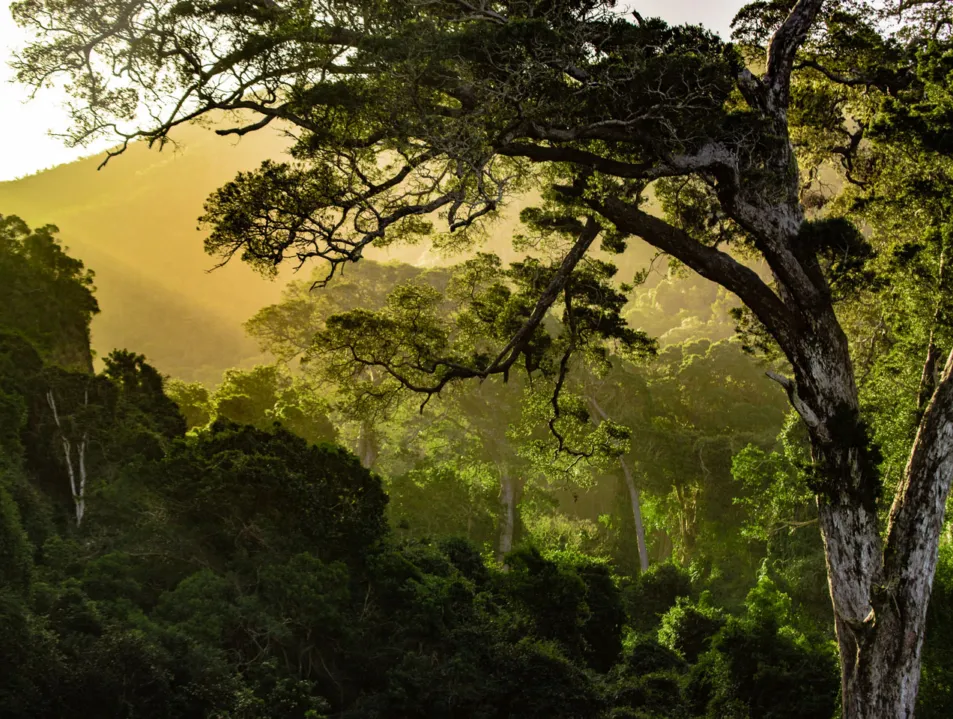 EU Environment Ministers adopt joint position on the proposal on the Green Claims Directive