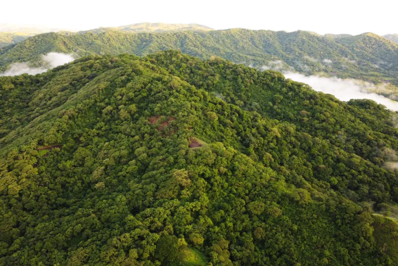 IETA STATEMENT ON THE CONCLUSION OF COP29 INCLUDING SUMMARY REPORT