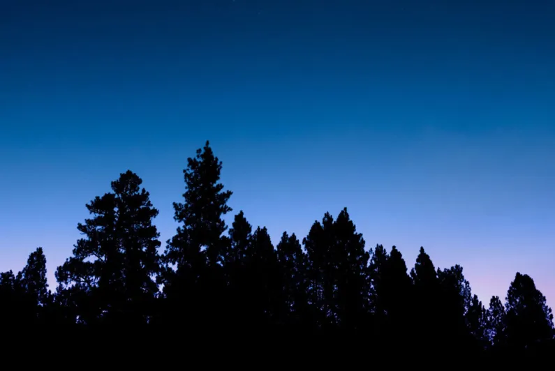 IETA and ITN Productions launch new co-production ‘Blue Sky Thinking: The Race to Achieve Net Zero’