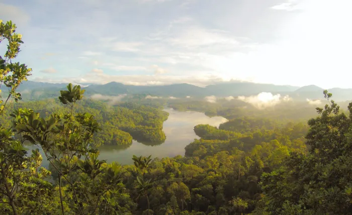 Business Brief - Brazil ETS