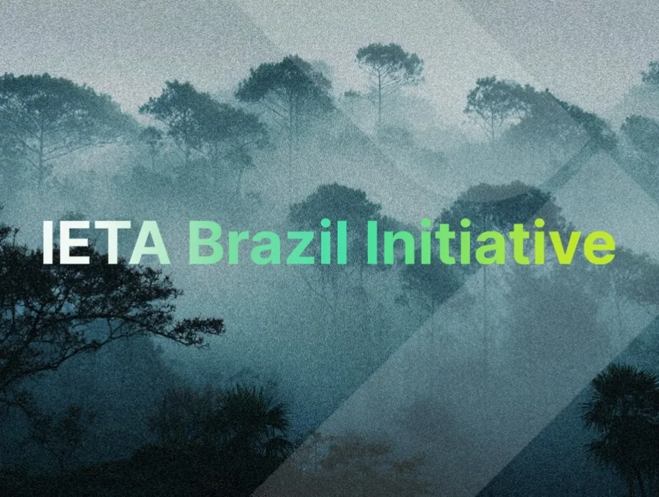 IETA Brazil initiative