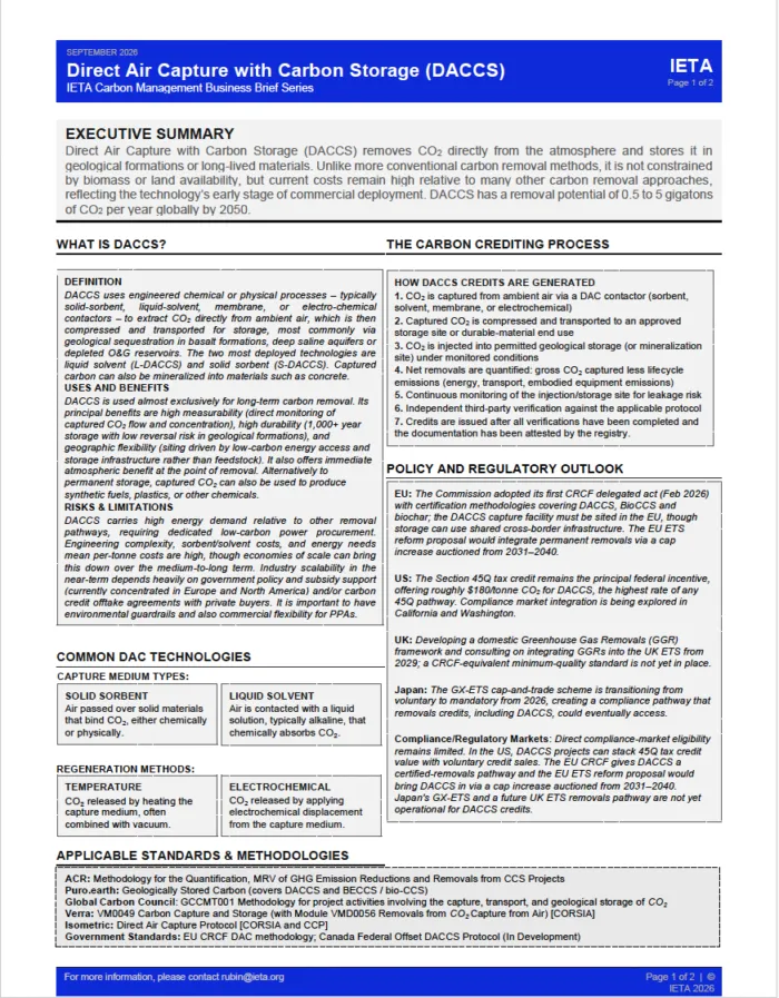 Carbon Management Business Brief on Direct Air Capture with Carbon Storage (DACCS)