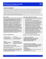 Carbon Management Business Brief on Enhanced Rock Weathering (ERW)