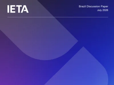 Discussion Paper: Brazil and Article 6 of the Paris Agreement