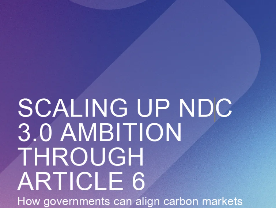 USING ARTICLE 6 TO UNLOCK FINANCE FOR CLIMATE ACTION