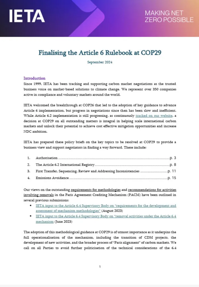 IETA Article 6 Policy Briefs Ahead of COP29 – Full Paper