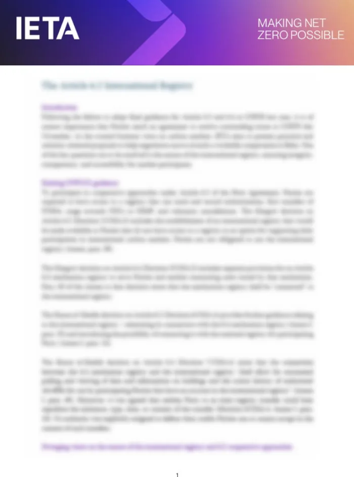 IETA Article 6 Discussion Paper on How Governments Can Implement NDCs Cooperatively and Encourage Private Sector Investment - 2nd edition