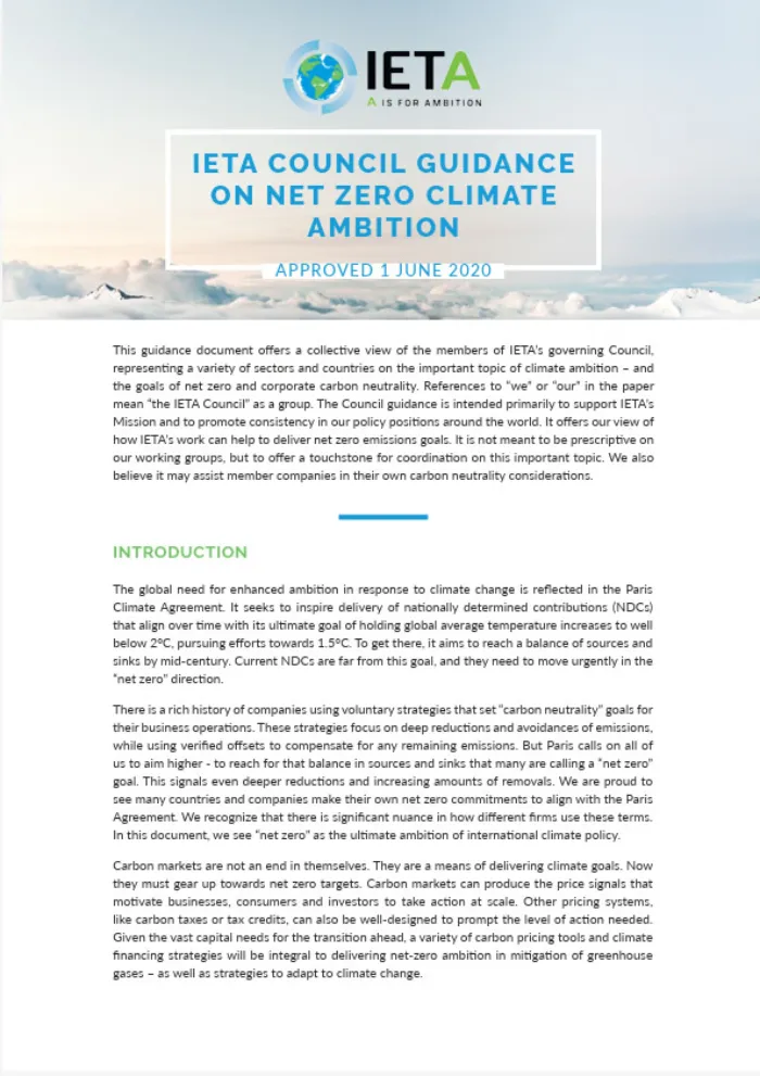 IETA Council sets Net Zero vision, highlights value of markets